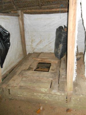 Jungle toilet